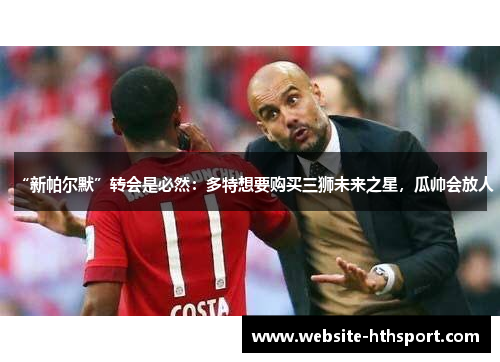“新帕尔默”转会是必然：多特想要购买三狮未来之星，瓜帅会放人